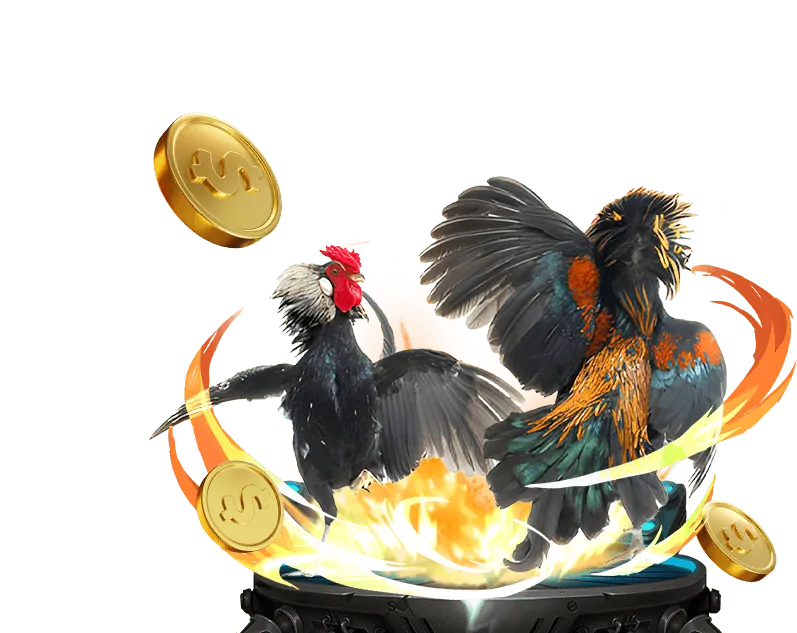 Cá cược bóng đá tại Win2026